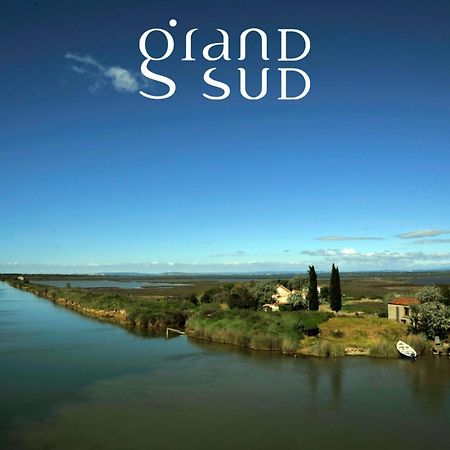 L'Oree De Camargue Studio Avec Cour Le Grau-du-Roi Buitenkant foto