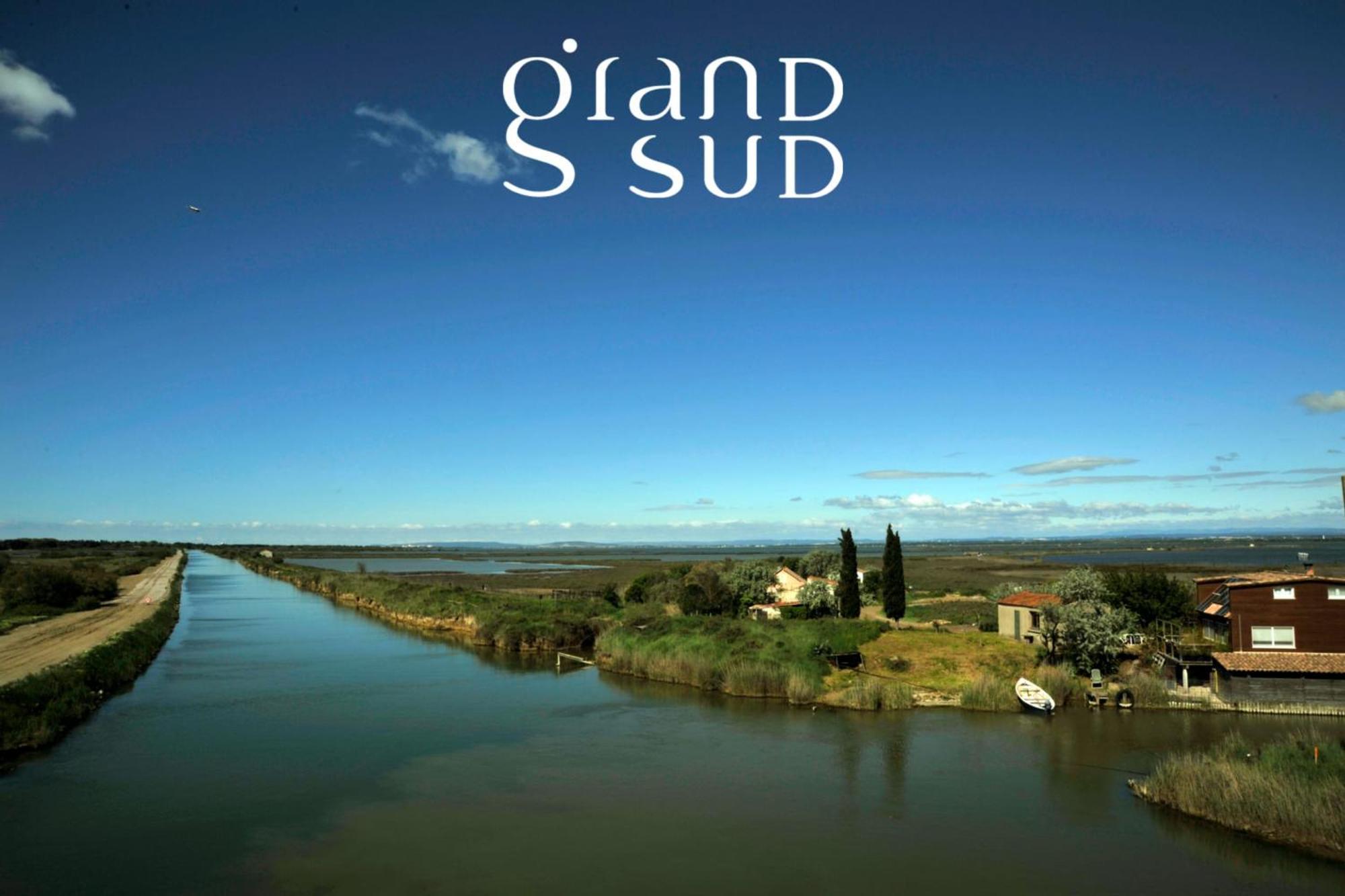 L'Oree De Camargue Studio Avec Cour Le Grau-du-Roi Buitenkant foto